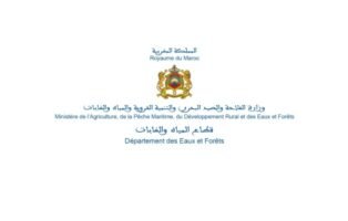 Directorate of Irrigation and Agricultural Land Development (DIAEA), Ministry of Agriculture